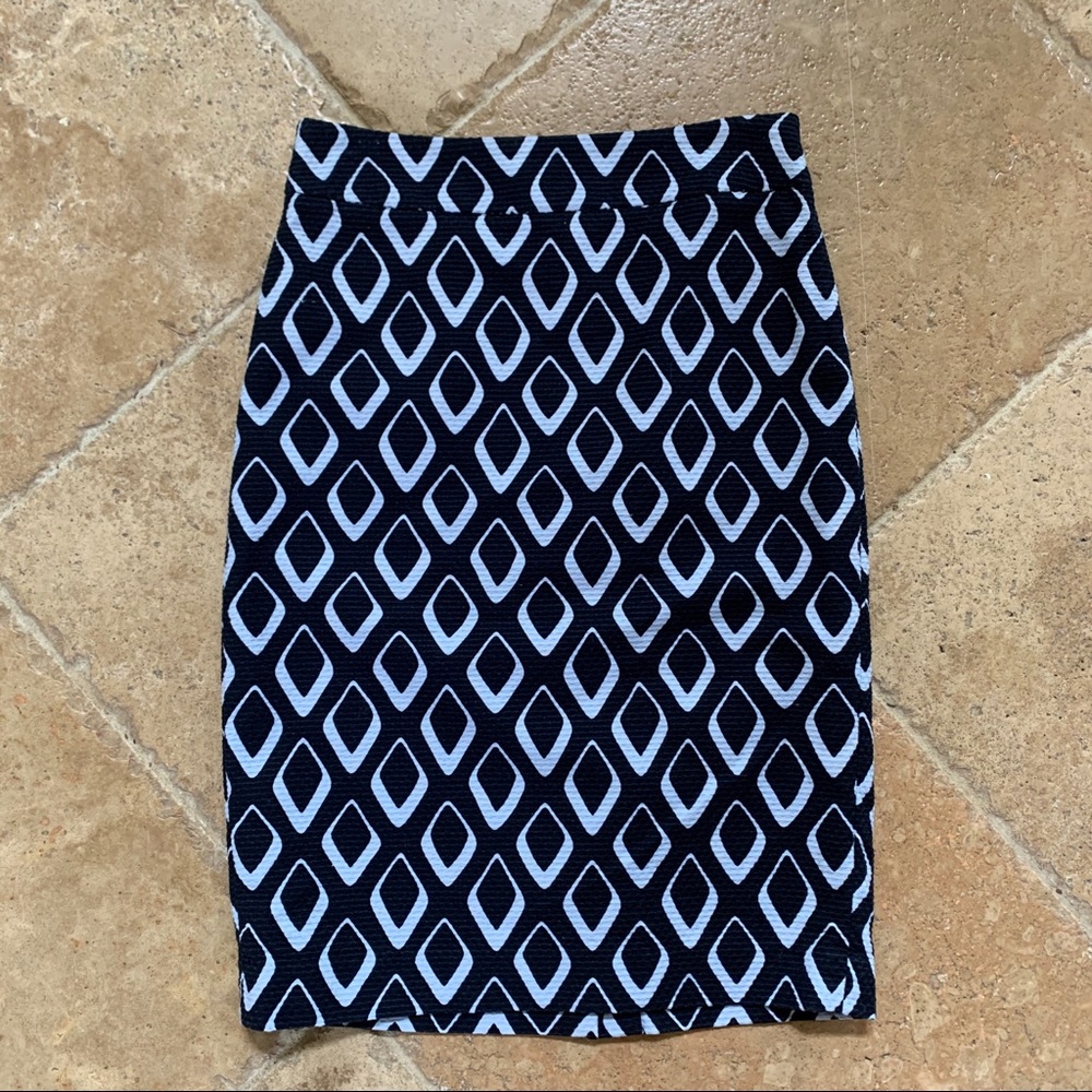 Ann Taylor Skirt